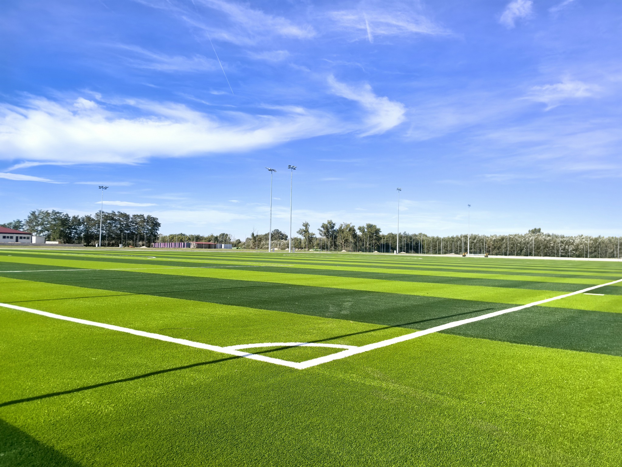 Cancha de pasto